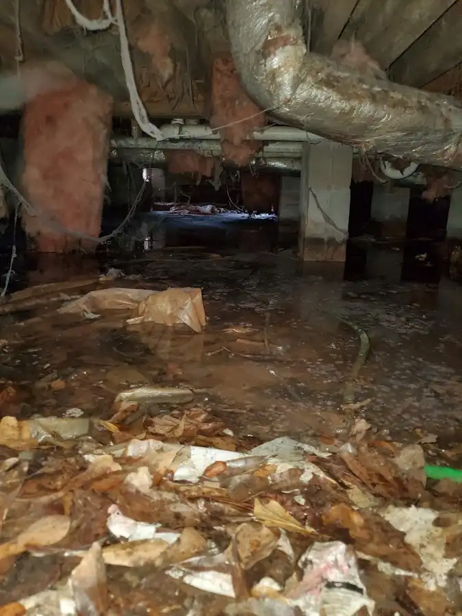 Crawl space flood assessment for Commercial Water Damage Restoration in Fuller Heights